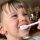 Bone Broth Berry Smoothie – CHILD COOPERATIVE CARE & Enrichment Avatar